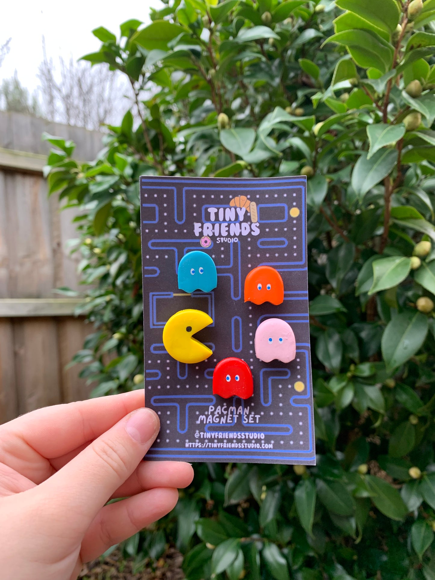 PREORDER ONLY - Mini Magnet Set