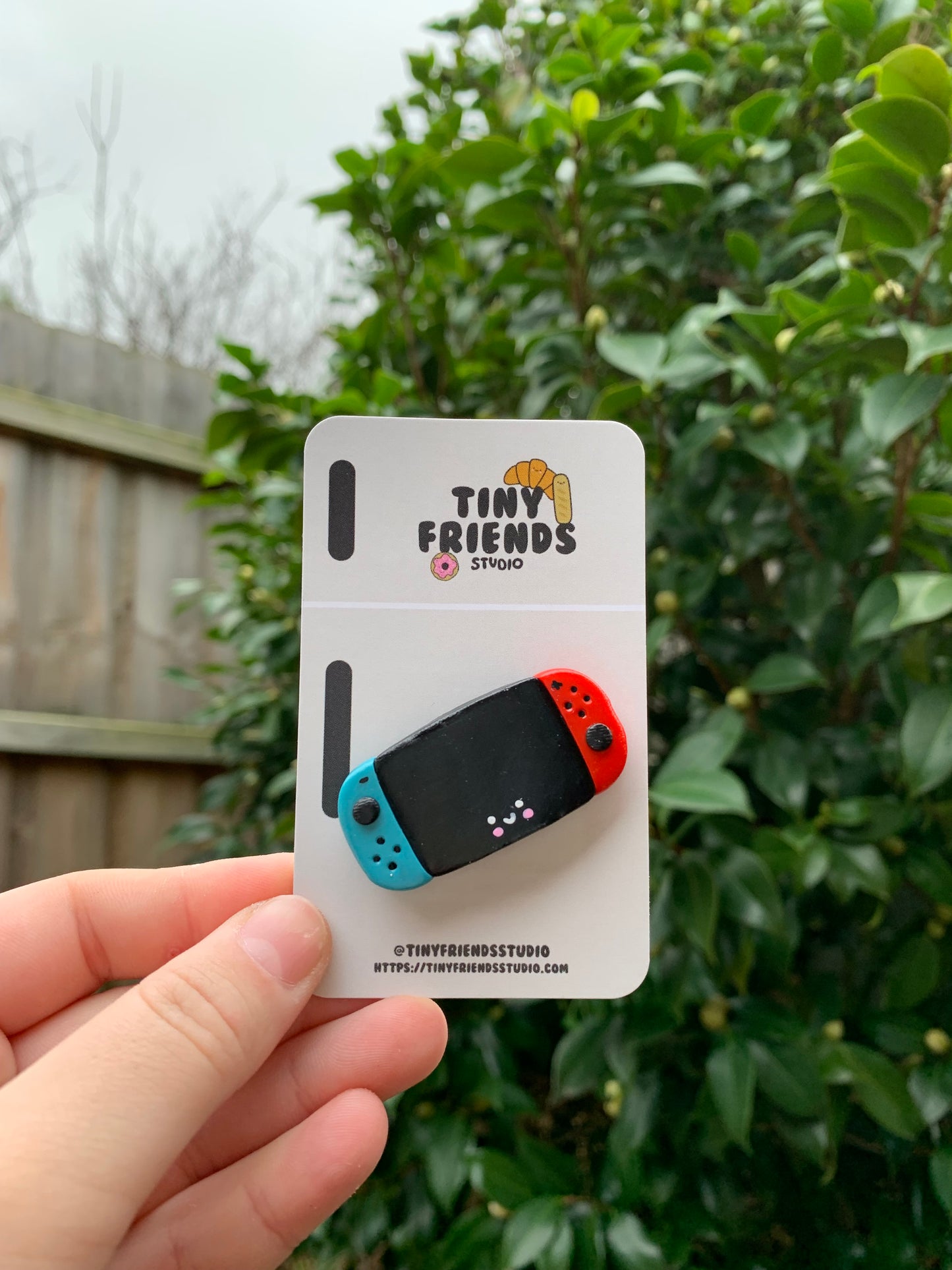 PREORDER ONLY - Switch Magnet