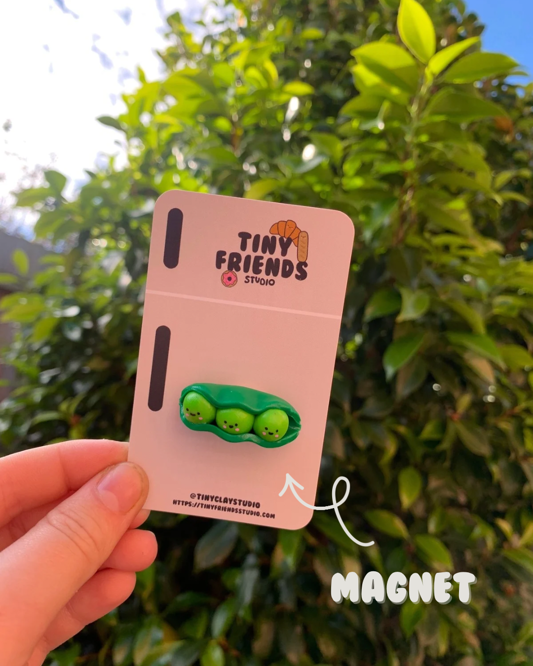 Produce - Peas in Pod