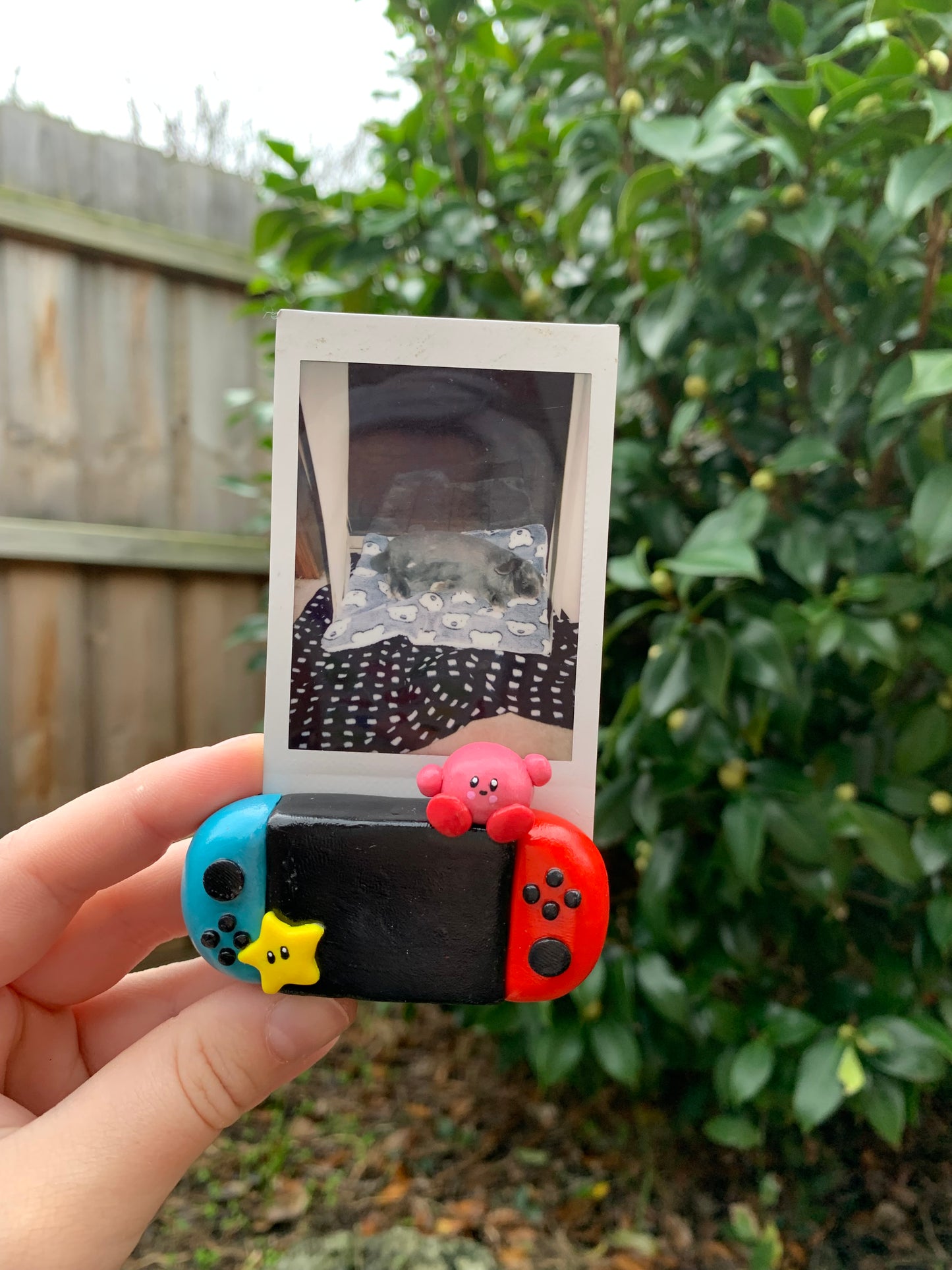 PREORDER ONLY Photo Stand - Switch