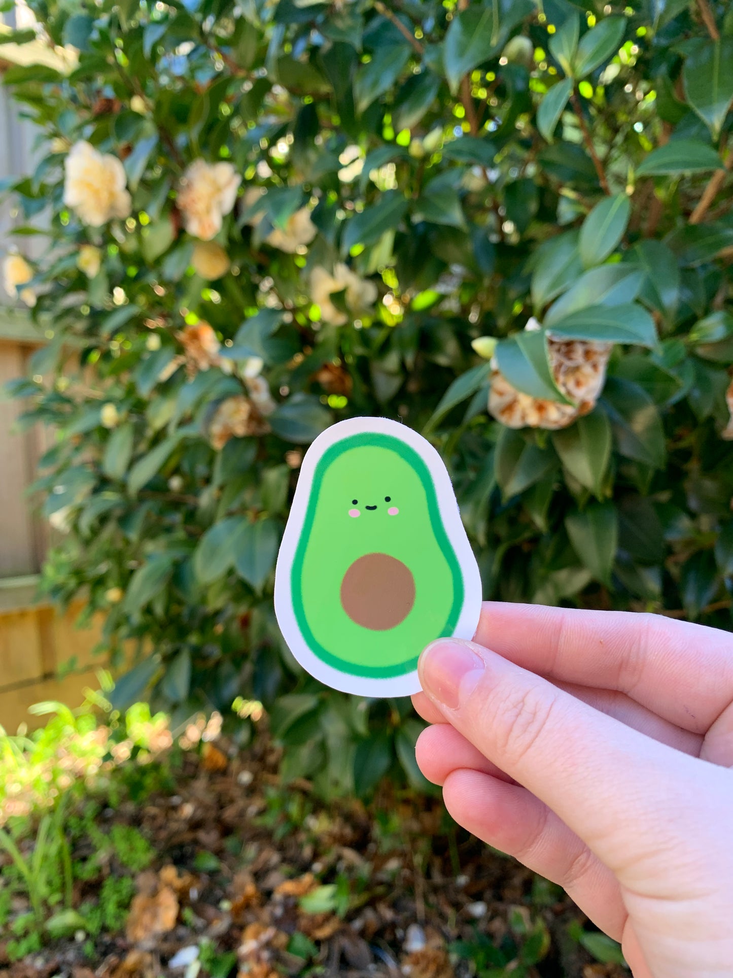 Avocado Sticker