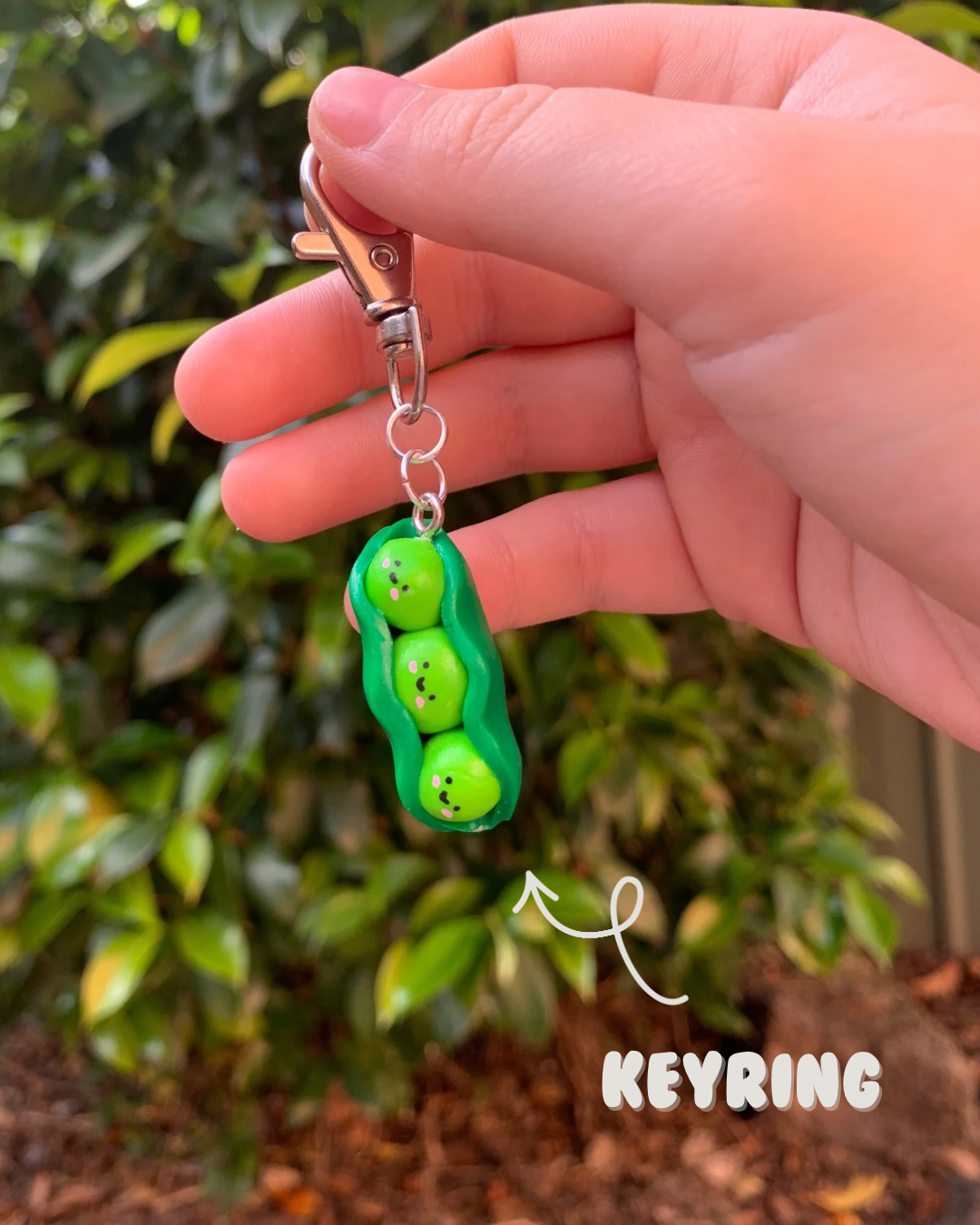 Produce - Peas in Pod