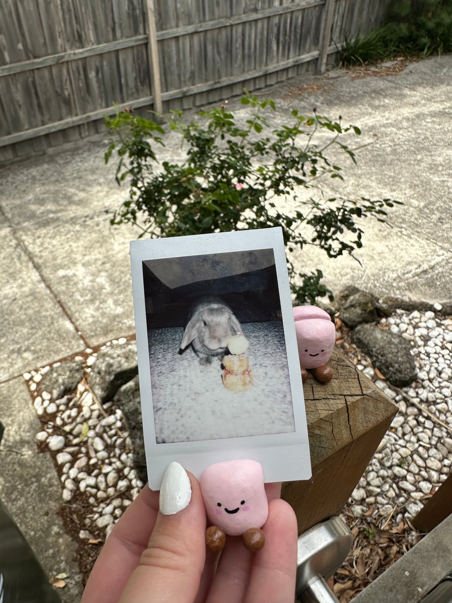 Photo Stand - Marshmallow