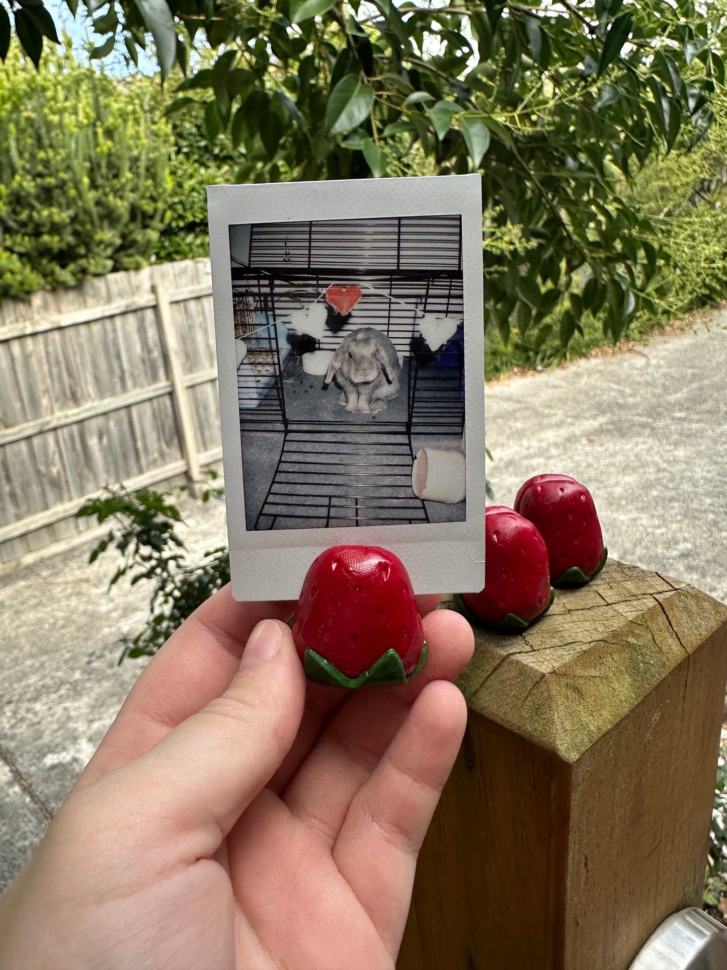 Photo Stand - Strawberry