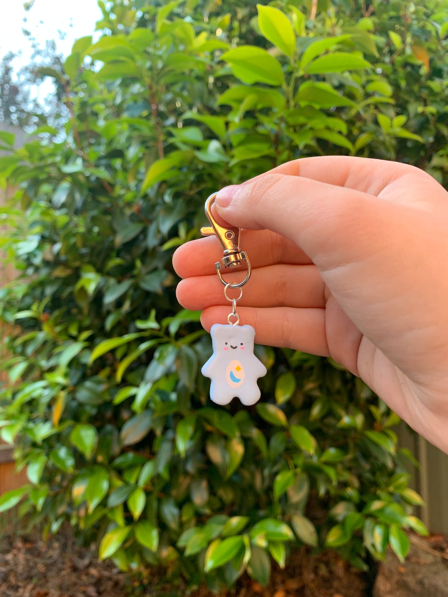 Bear Buddies Blind Box