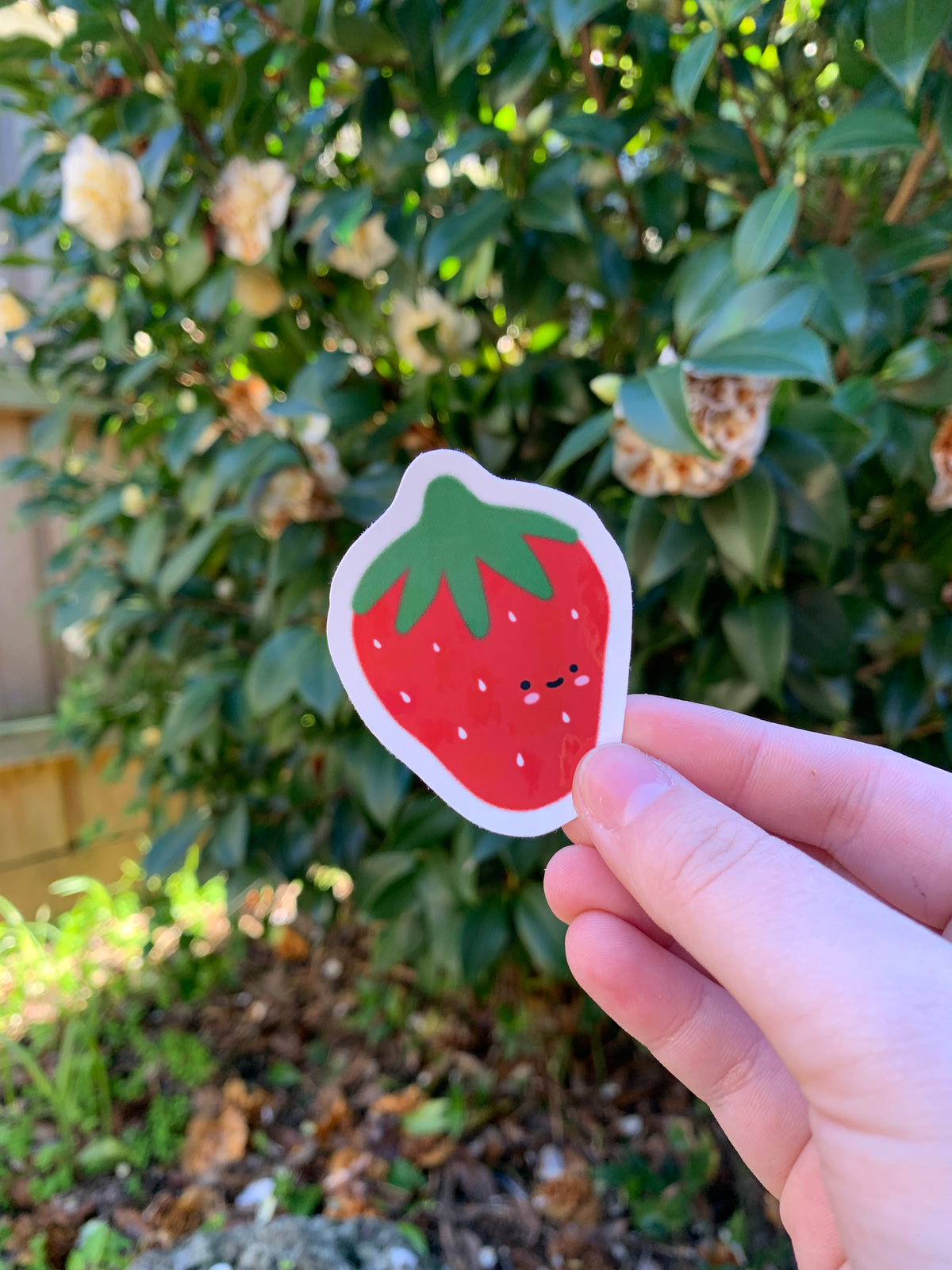 Strawberry Sticker