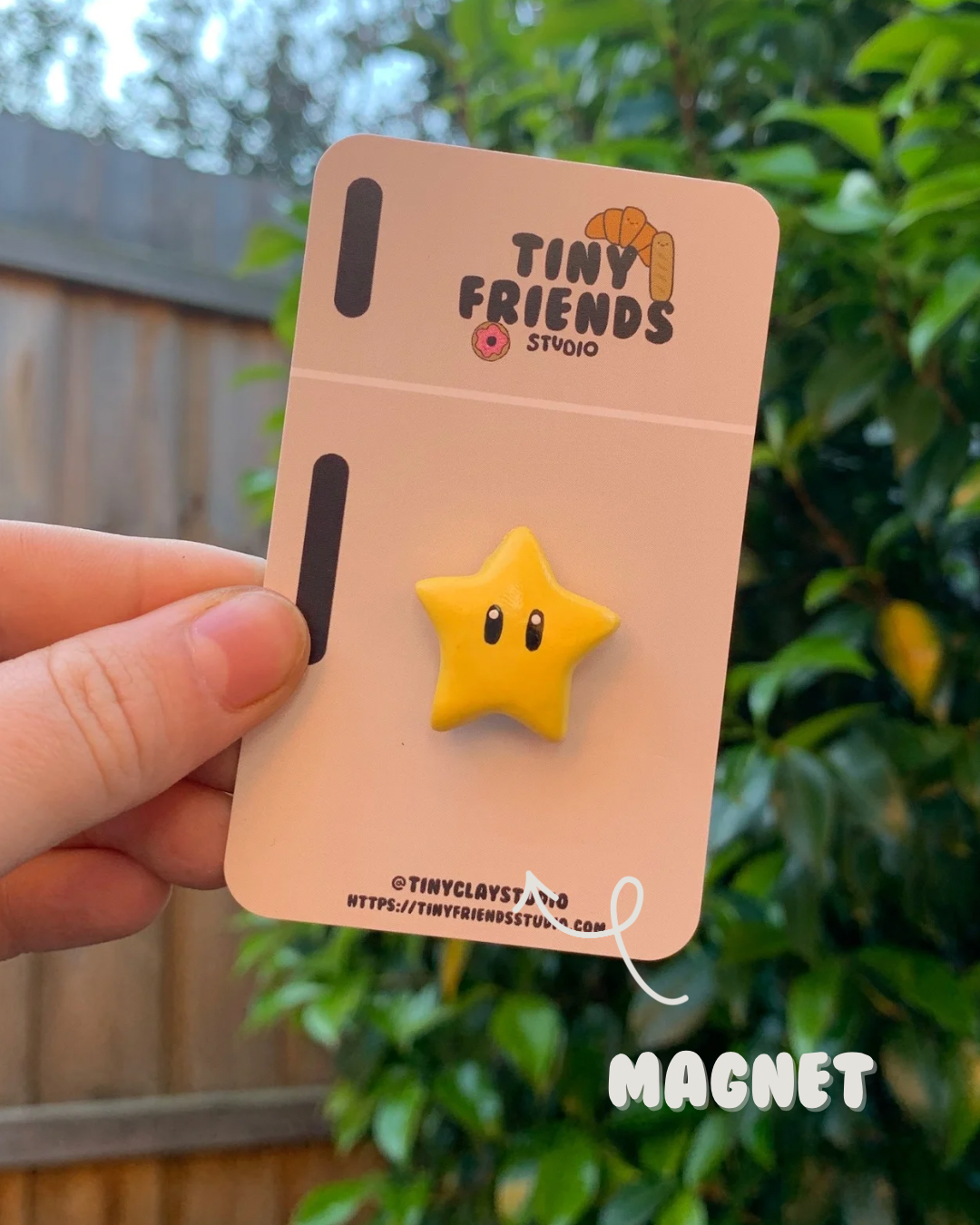 Mario Star Magnet/Pin