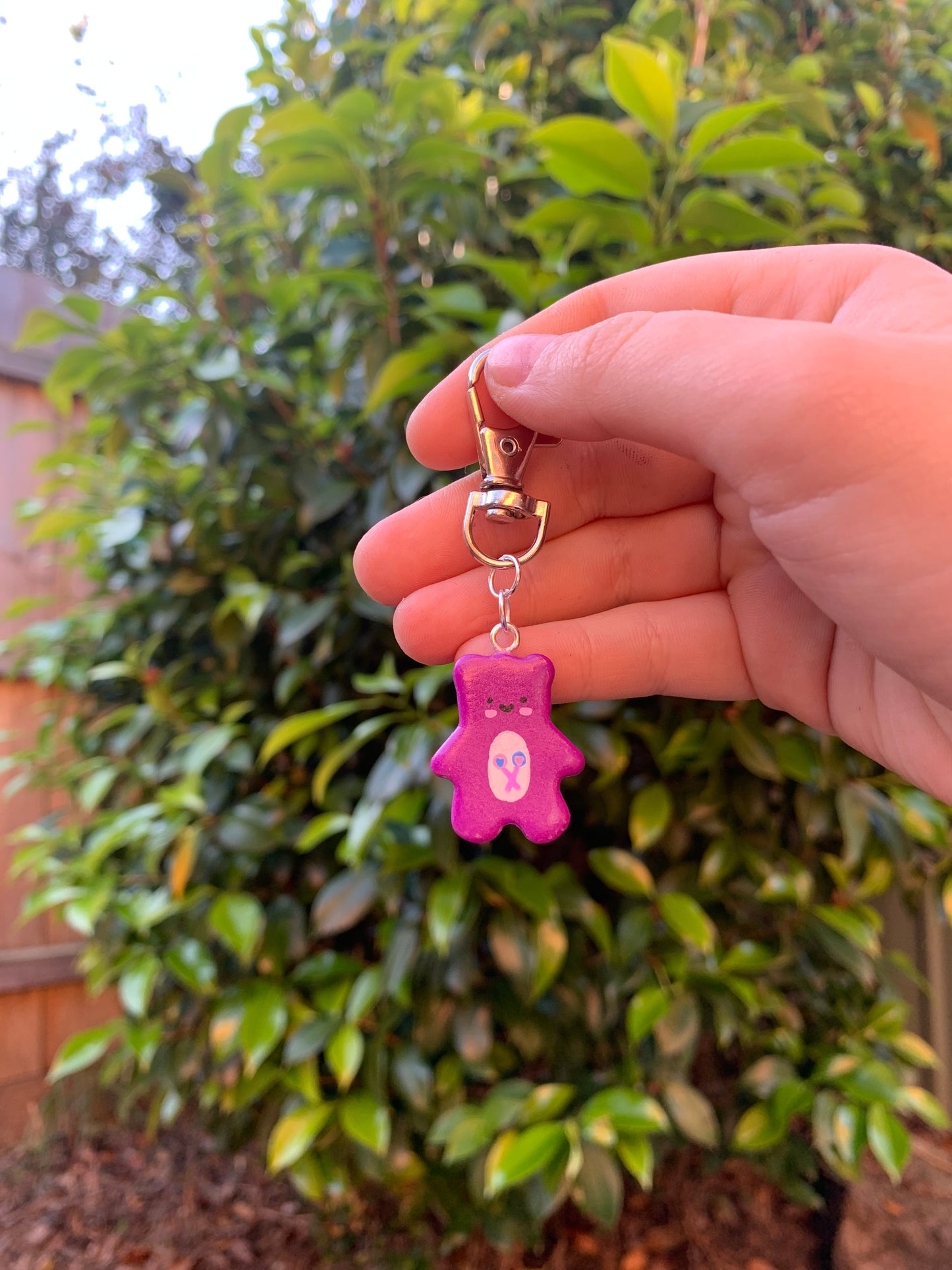 Bear Buddies Blind Box